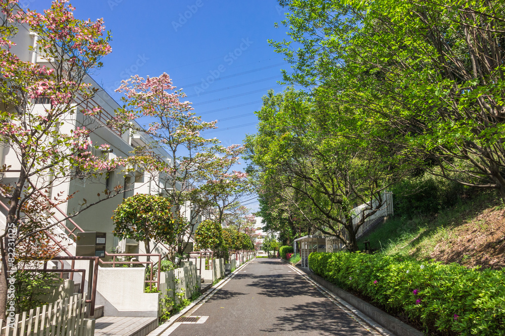 Fototapeta premium 住宅街