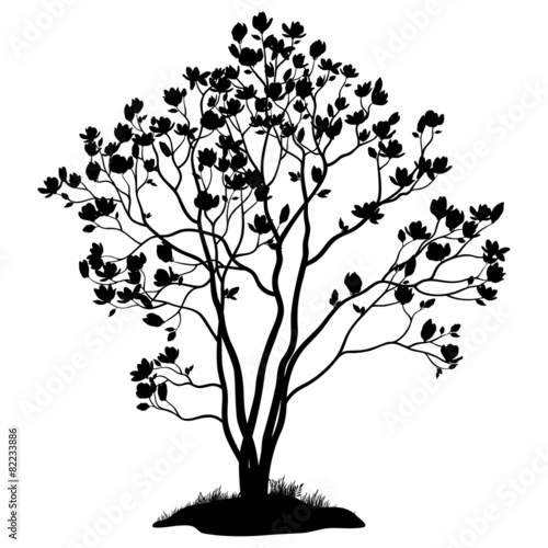 Magnolia Tree with Flowers and Grass Silhouette