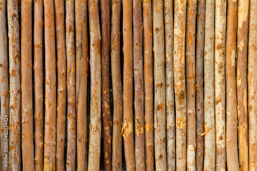 Eucalyptus wood fence