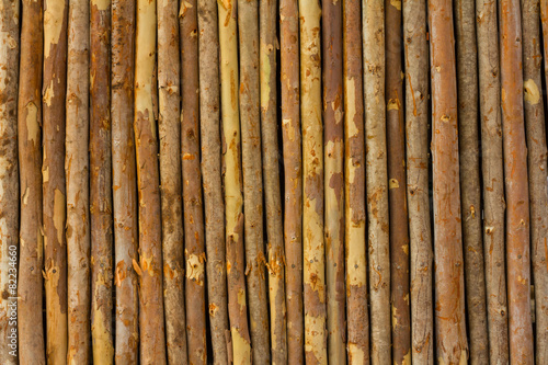 Eucalyptus small fence