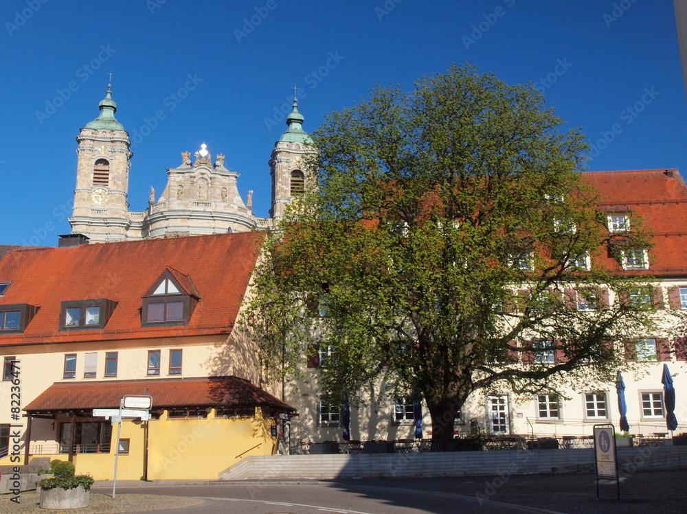 Basilika in Weingarten mit Kastanie