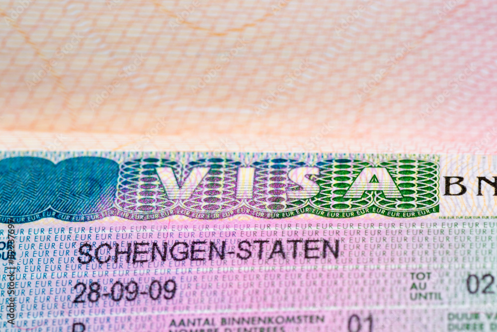 Obraz premium Visa stamp travel