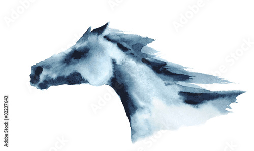 Watercolor head of galloping horse