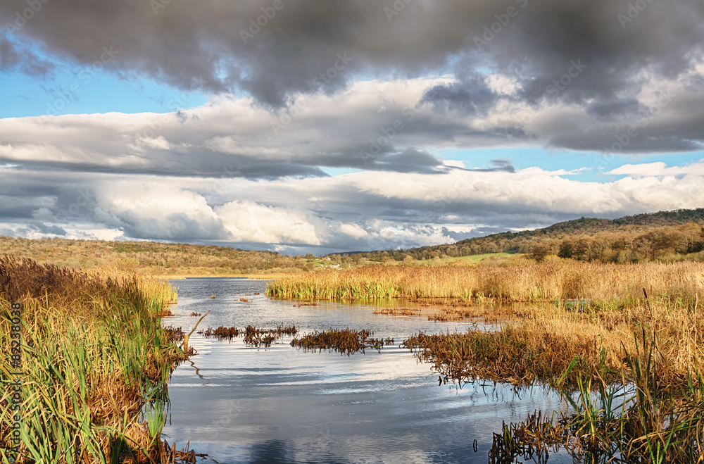 Reeds and water at Leighton Moss, Lancashire