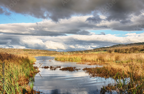 Reeds and water at Leighton Moss  Lancashire