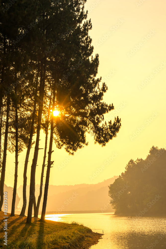 Fototapeta premium Pang Oung is pretty lake surrounded by mountains
