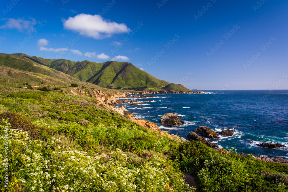 View of the Pacific Coast at Garrapata State Park, California.