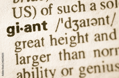 Dictionary definition of word giant