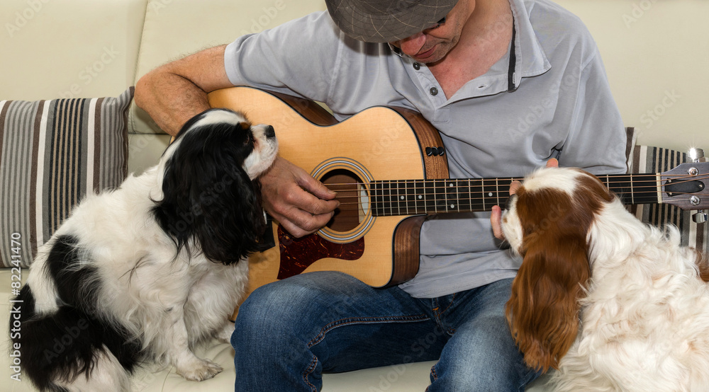 © Pictures news - Guitariste et chiens