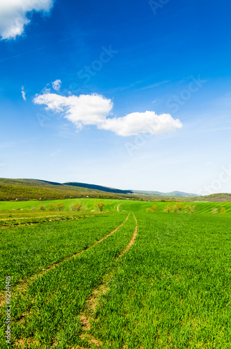 green field and blue sky © klagyivik