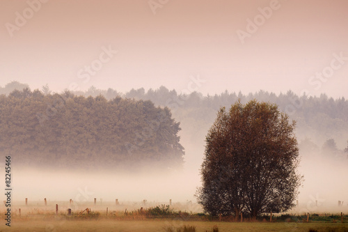 misty morning meaddow in the autumn photo