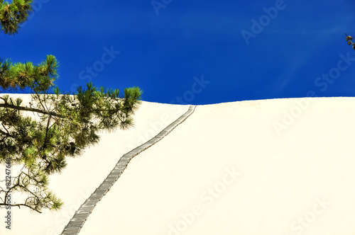 Wallpaper Mural Dune du Pilat Torontodigital.ca