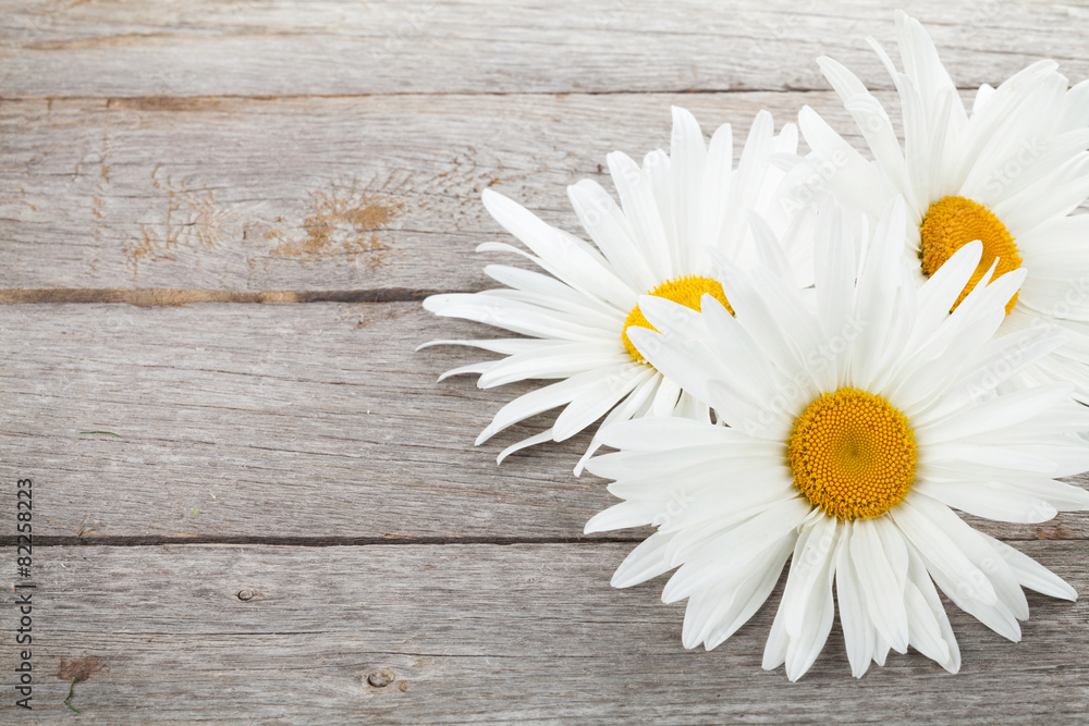 Obraz premium Daisy camomile flowers on wooden table background