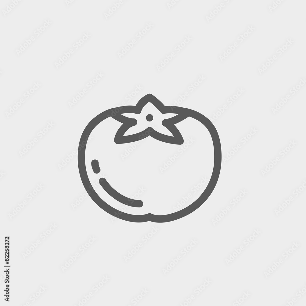 Obraz premium Tomato thin line icon