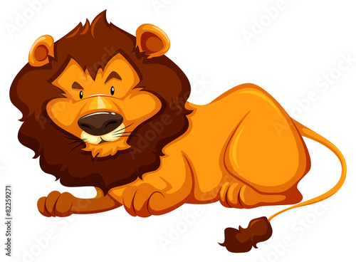 A lion