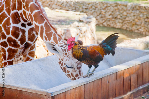Unlikely friends