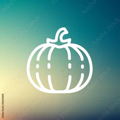 Squash thin line icon