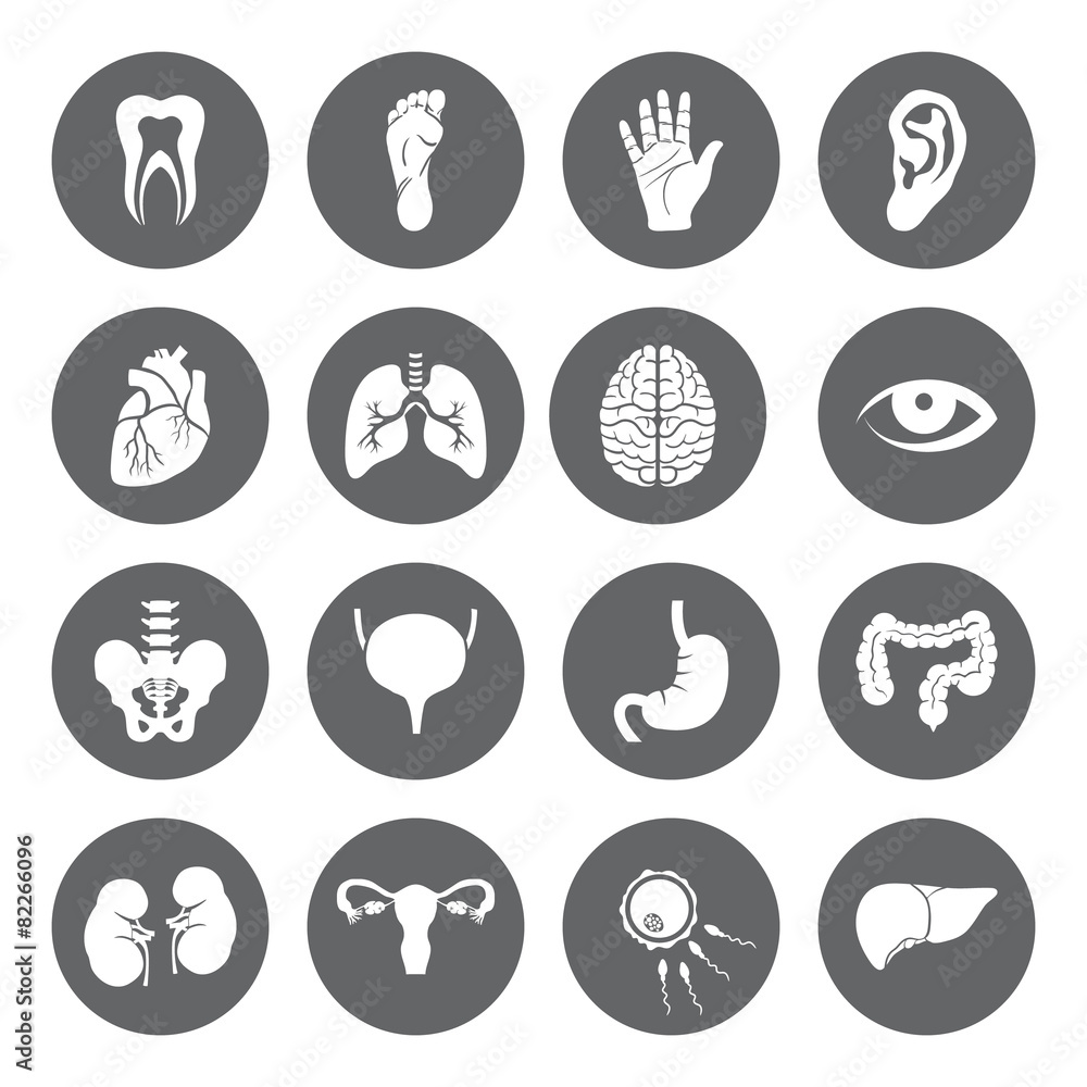 Set of vector Medical Icons with human organs in flat style