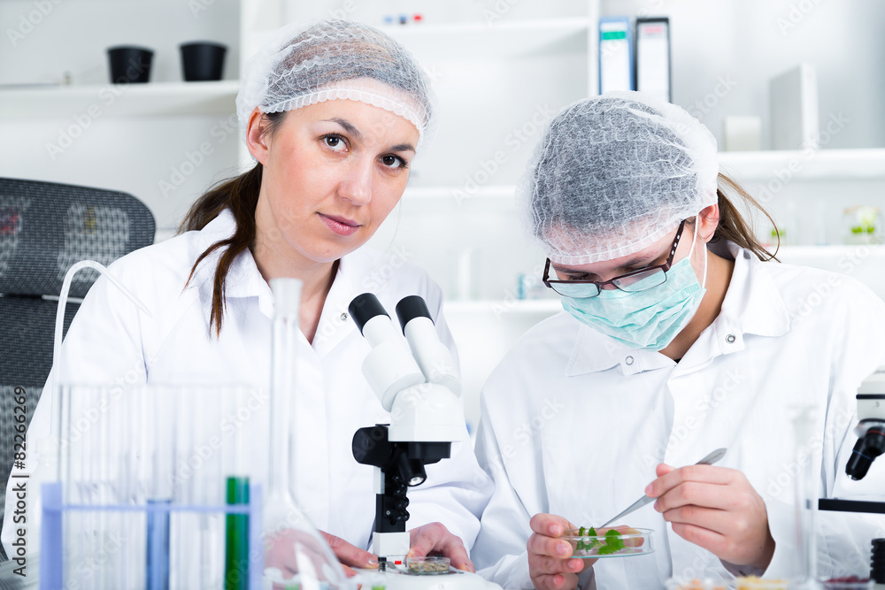 Team of scientists in a laboratory working on chemical testing