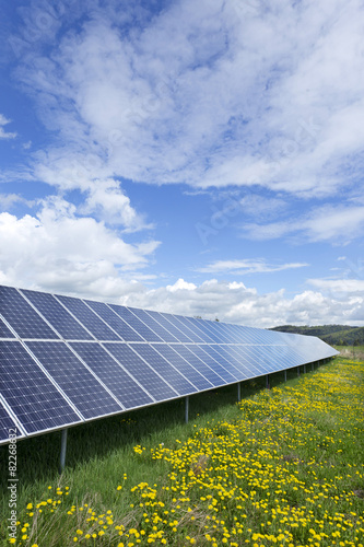 Solar Power Station on the spring flowering Meadow