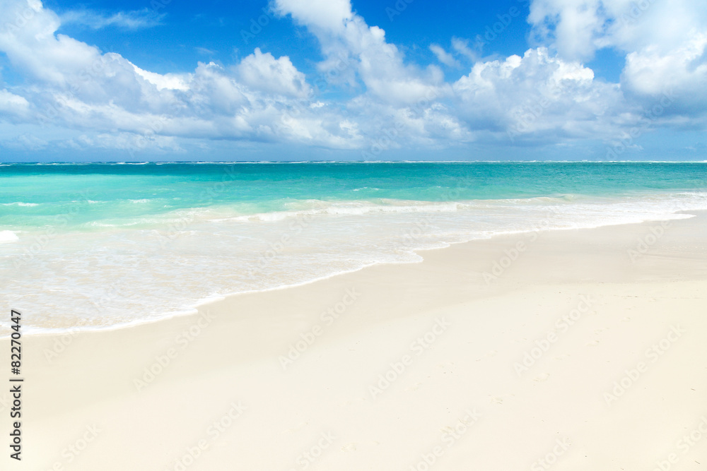 Tropical Paradise - White Sands Beach