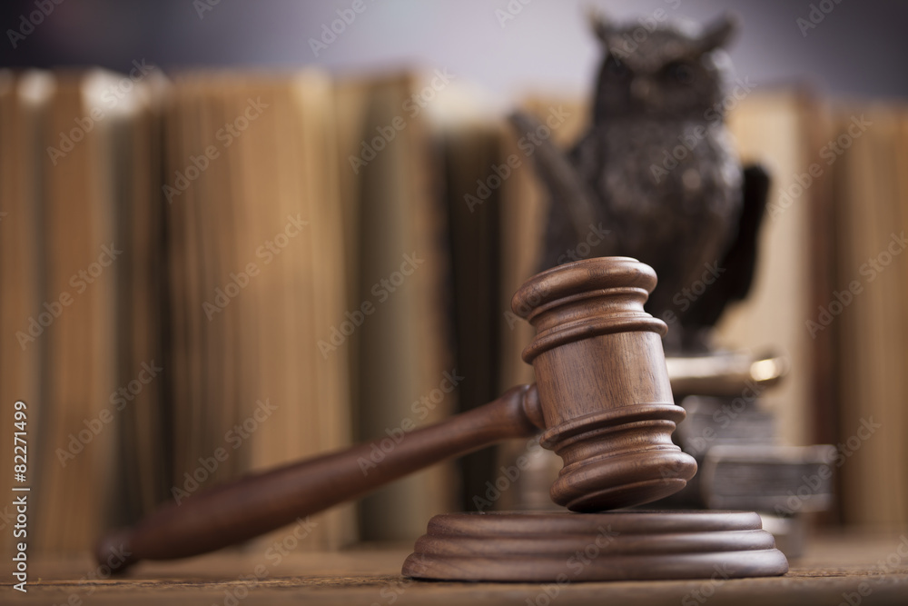 Law concept, owl in a judge gavel concept Law concept, owl in a judge gavel concept
