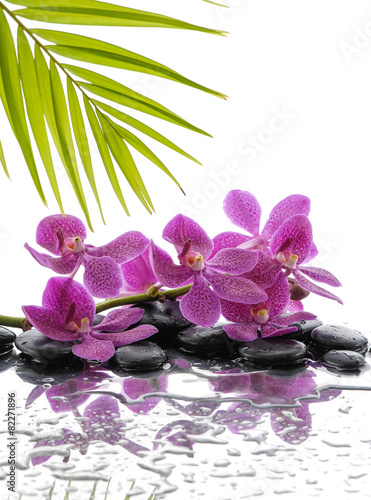 Spa Background with palm and wet stones with pink orchid 