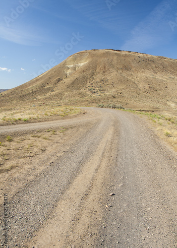 Curvy road to Painted hills