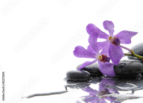 beautiful branch pink orchid with black stones 