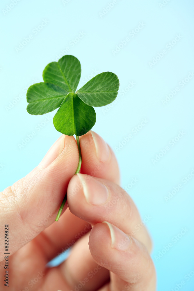 Female hand holding green clover leaf on sky background Female hand holding green clover leaf on sky background