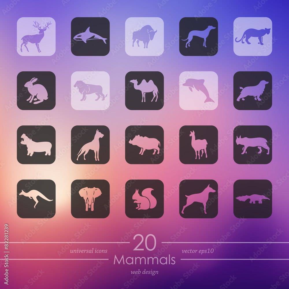 Set of mammals icons Set of mammals icons