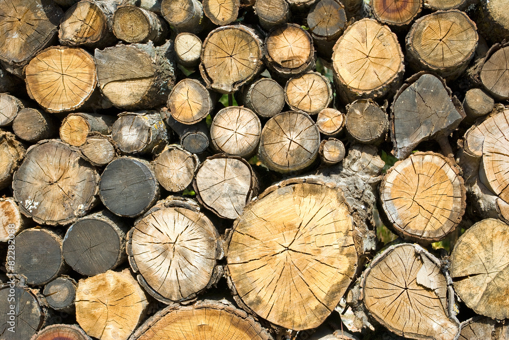 dry firewood laid in a heap for kindling the furnace closeup dry firewood laid in a heap for kindling the furnace closeup