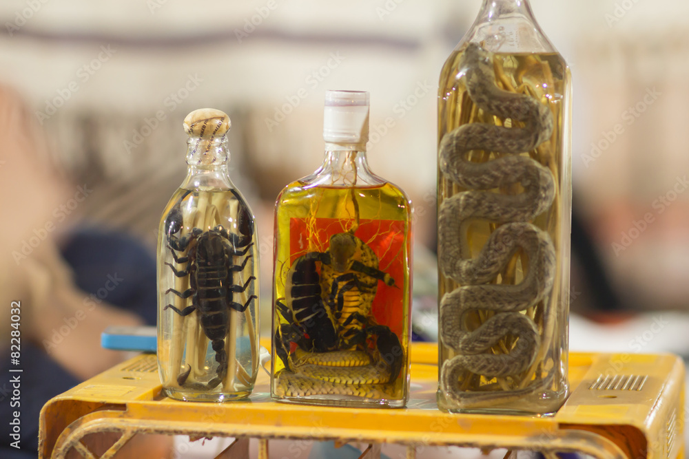 animals in alcohol Stock Photo Adobe Stock