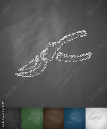 pruner icon