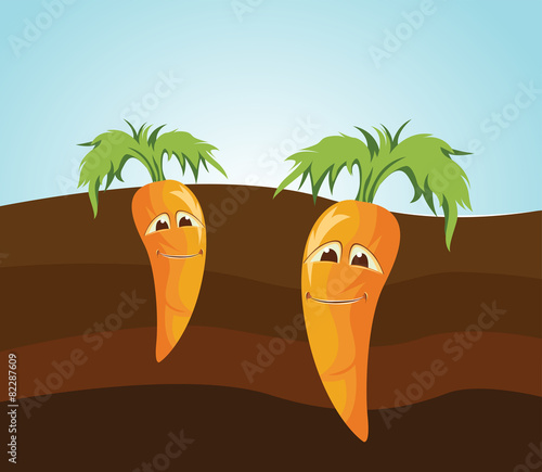 carrots toon vector