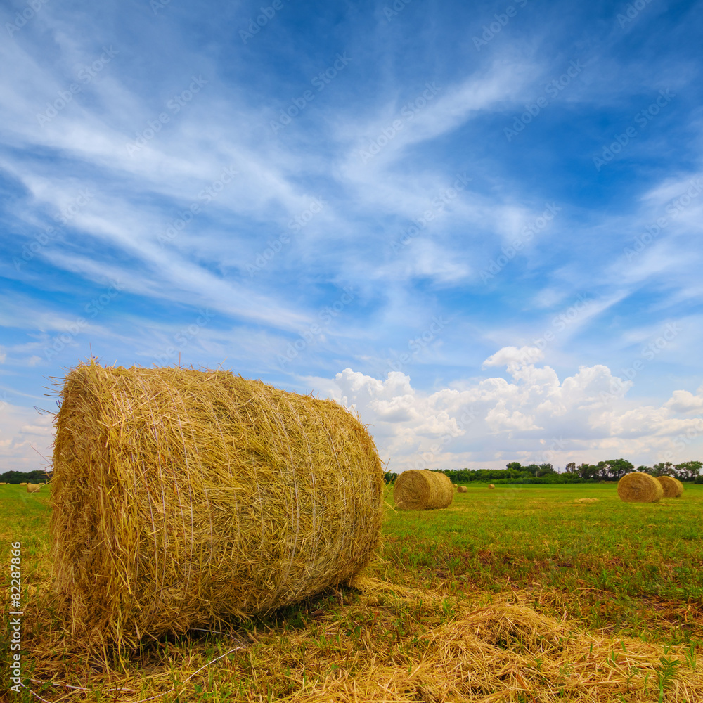 closeup haystack on a field