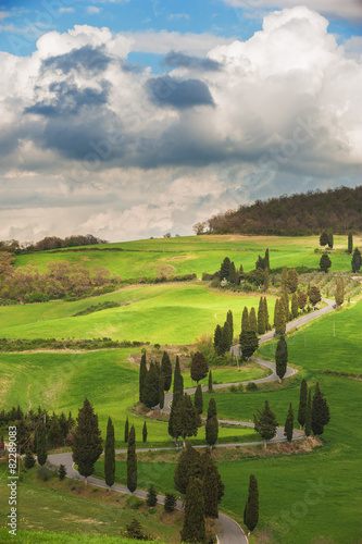 Tuscany twisted road with cypresses