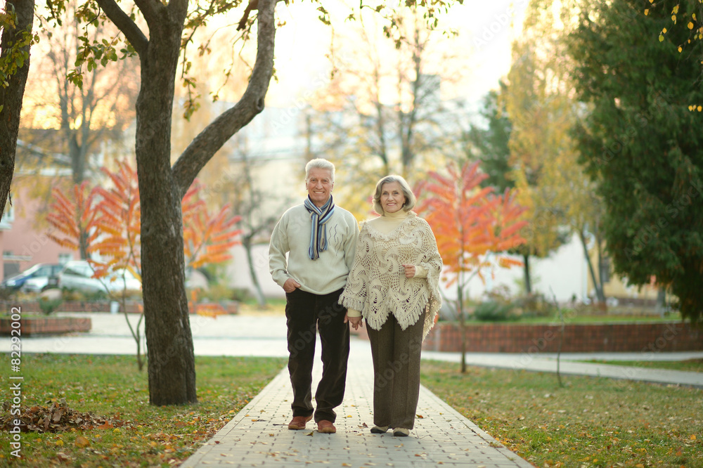 Fototapeta premium Senior couple in autumn park