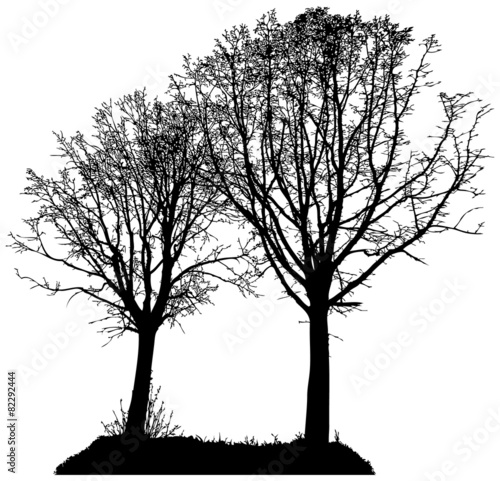vector silhouette of two trees