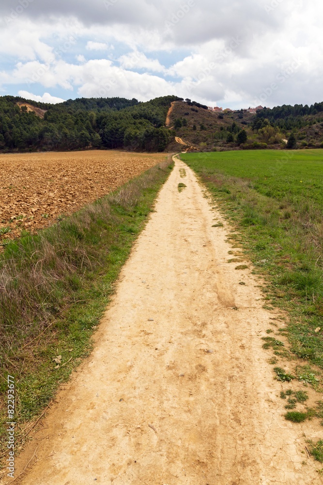 Largo Camino de Tierra Largo Camino de Tierra