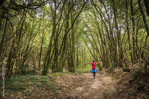 Passeggiare nel bosco