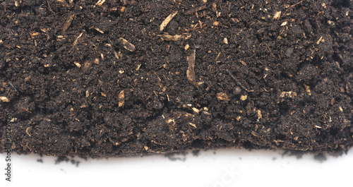 soil