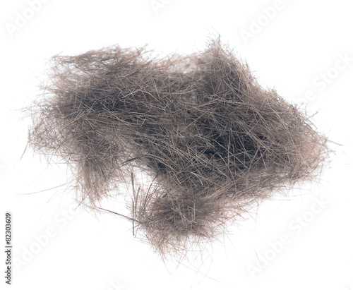 hair