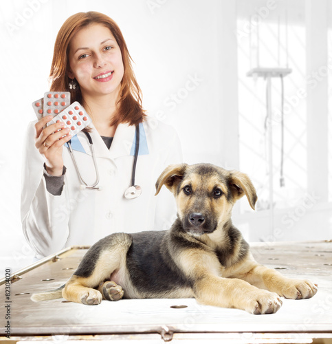 puppy and vet