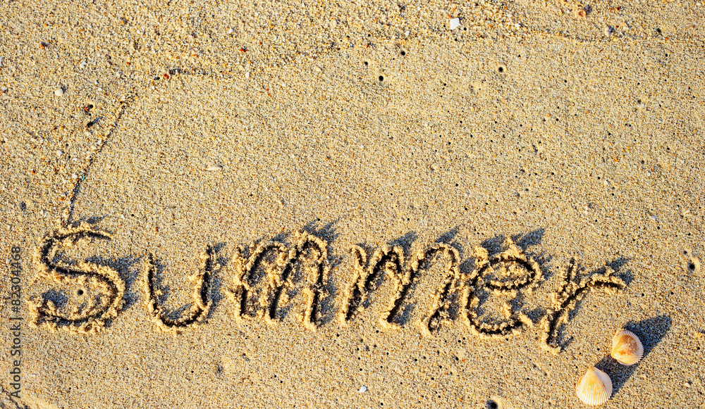 Fototapeta premium Summer background