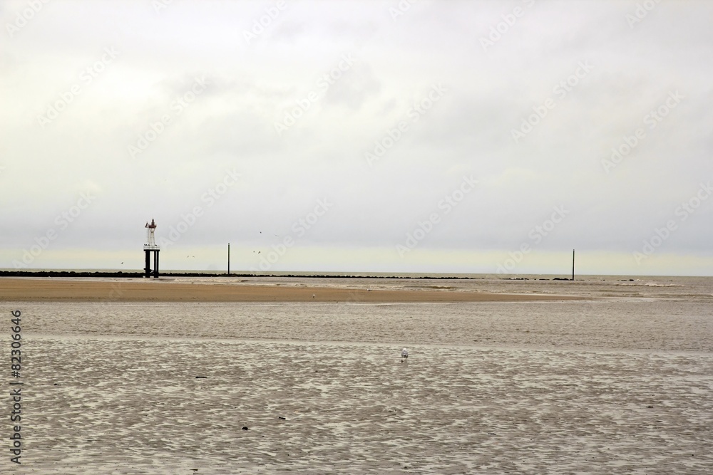 La plage  de Trouville (Normandie  France), à marée basse