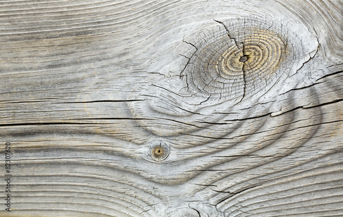 Texture di legno con nodi