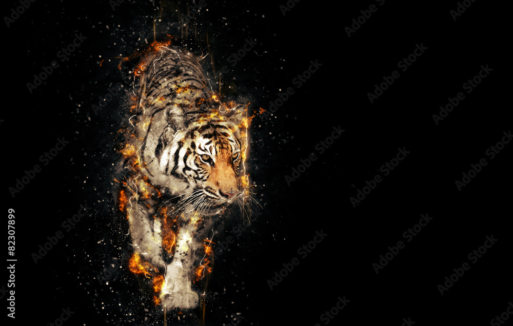 Naklejka premium Płonący tygrys na czarnym tle
