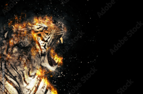 Burning tiger over black background
