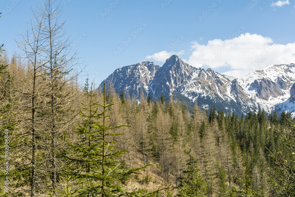 Giewont is a mountain massif in the Tatra Mountains